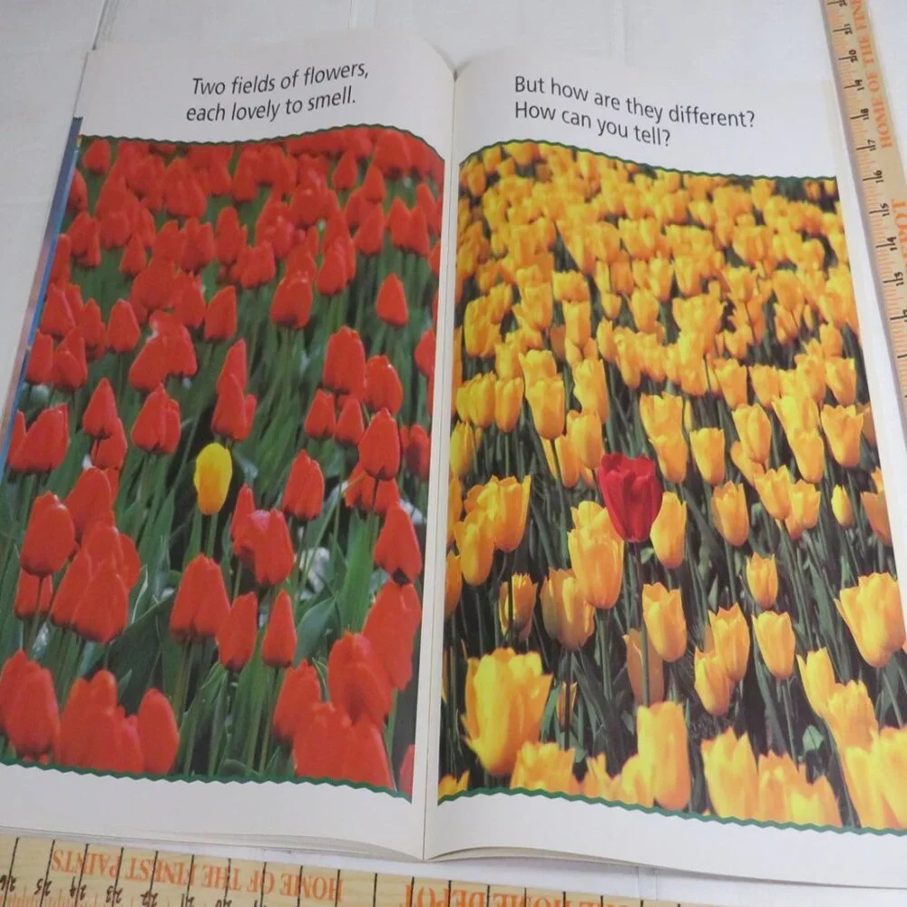 Sort It Out BIG BOOK (almost 2 feet tall) with teacher pages CLASSROOM SIZE